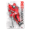 Miami RedHawks<sub>&reg;</sub> - RedHawks<sub>&reg;</sub> Hockey - College Wall Art#PVC