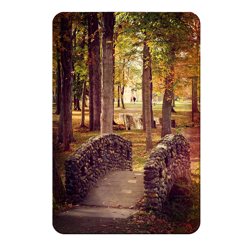 Miami RedHawks<sub>&reg;</sub>  - Autumn Western Bridges - College Wall Art#Canvas