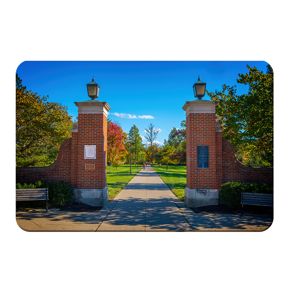 Miami RedHawks<sub>&reg;</sub> - Slant Gates - College Wall Art#Canvas