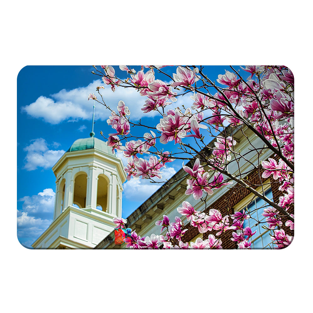 Miami RedHawks<sub>&reg;</sub> - Miami U Spring - College Wall Art #Canvas