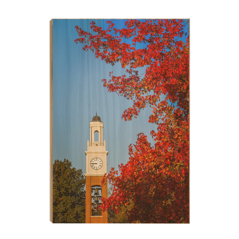 Miami RedHawks<sub>&reg;</sub> - Pulley Tower Blaze - College Wall Art#Canvas