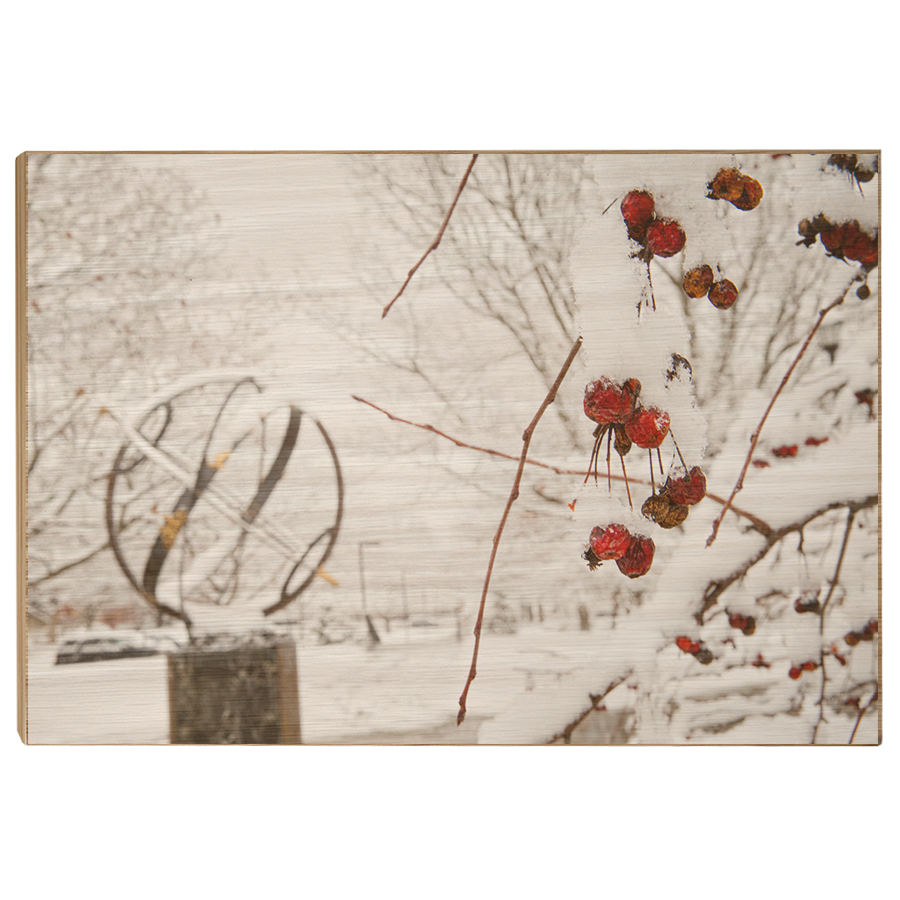 Miami RedHawks<sub>&reg;</sub> - Winter Crab Apples - College Wall Art#Canvas