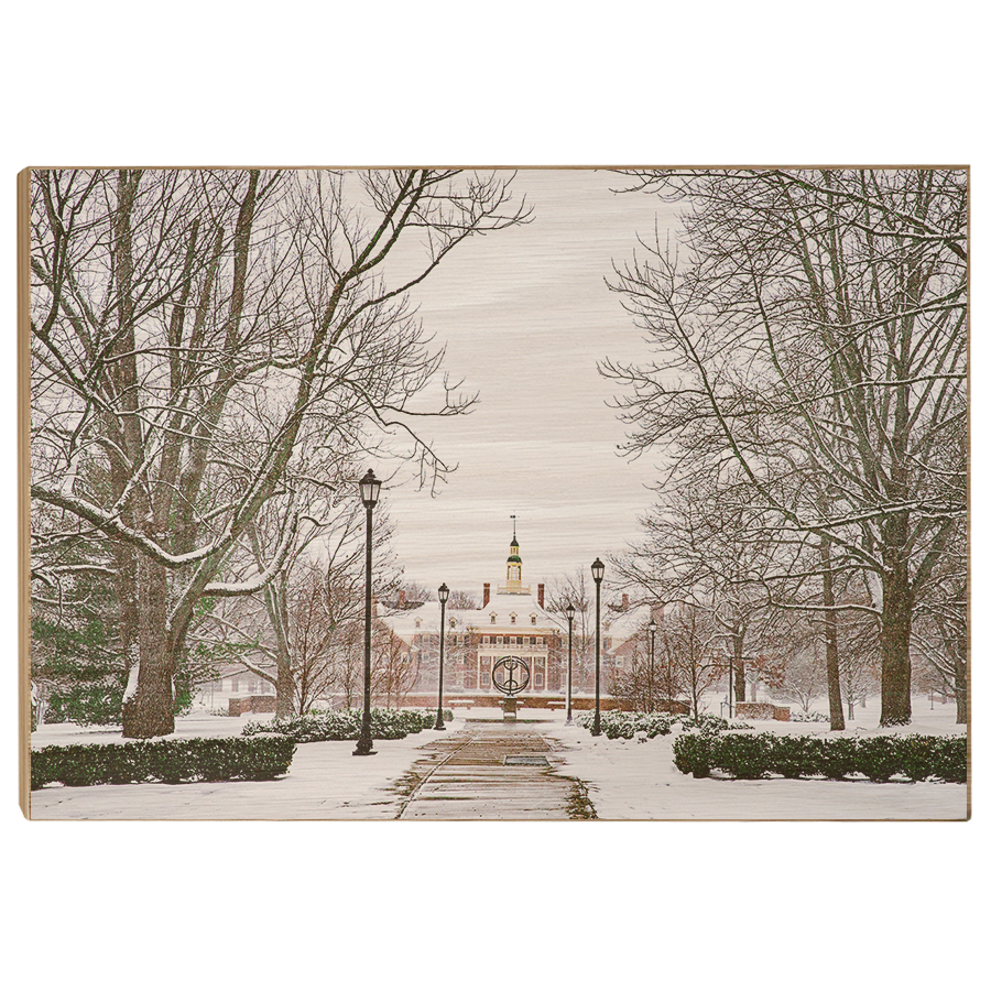 Miami RedHawks<sub>&reg;</sub> - MacCracken Dusting - College Wall Art#Canvas