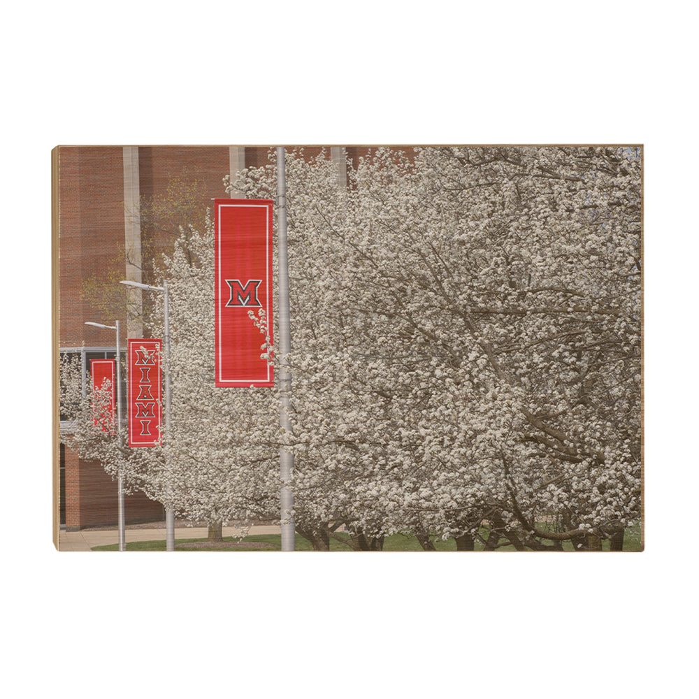 Miami RedHawks<sub>&reg;</sub> - Miami Cherry Blossoms - College Wall Art #Canvas