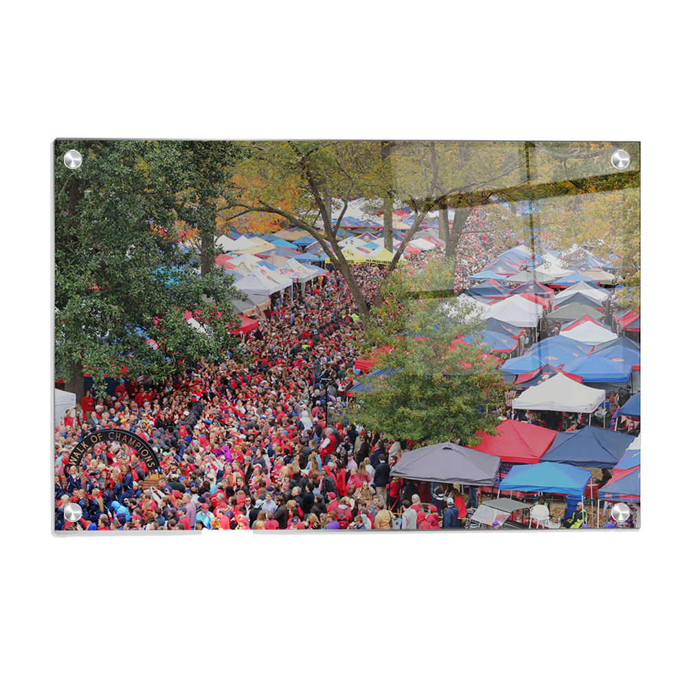 Ole Miss Rebels - Aerial Grove - College Wall Art #Canvas