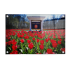 Ole Miss Rebels - Spring Flowers - College Wall Art #Acrylic