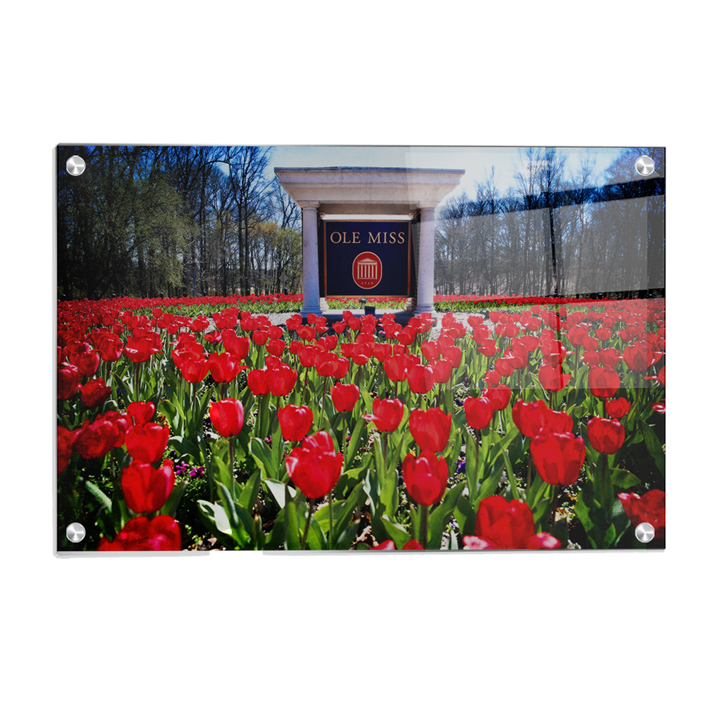 Ole Miss Rebels - Spring Flowers - College Wall Art #Canvas