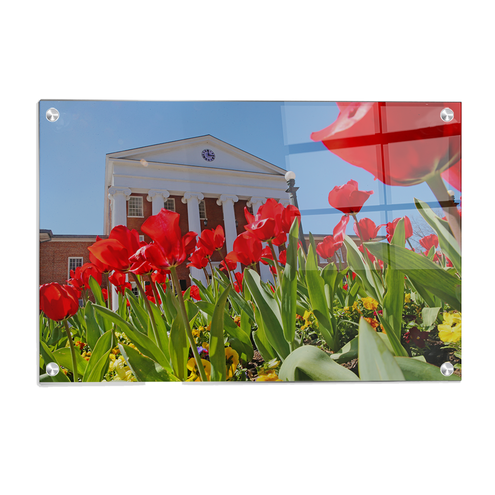 Ole Miss Rebels - Spring Lyceum - College Wall Art #Canvas