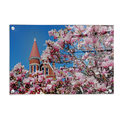 Ole Miss Rebels - Cherry Blossom Ventress - College Wall Art #Acrylic