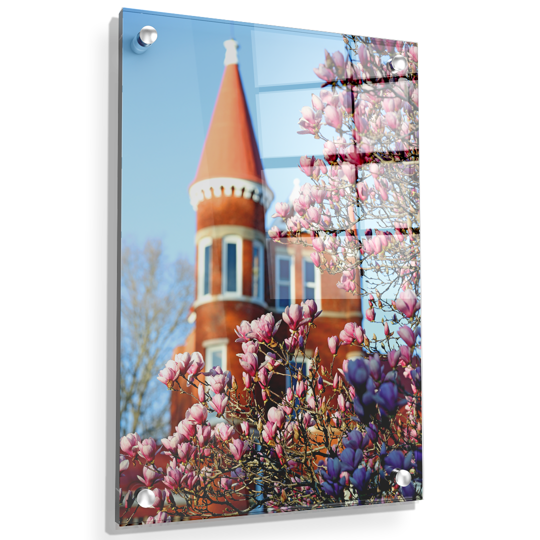 Ole Miss Rebels - Spring at Ole Miss - College Wall Art #Canvas