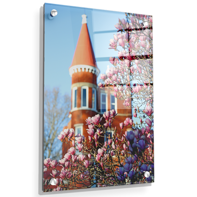 Ole Miss Rebels - Spring at Ole Miss - College Wall Art #Acrylic