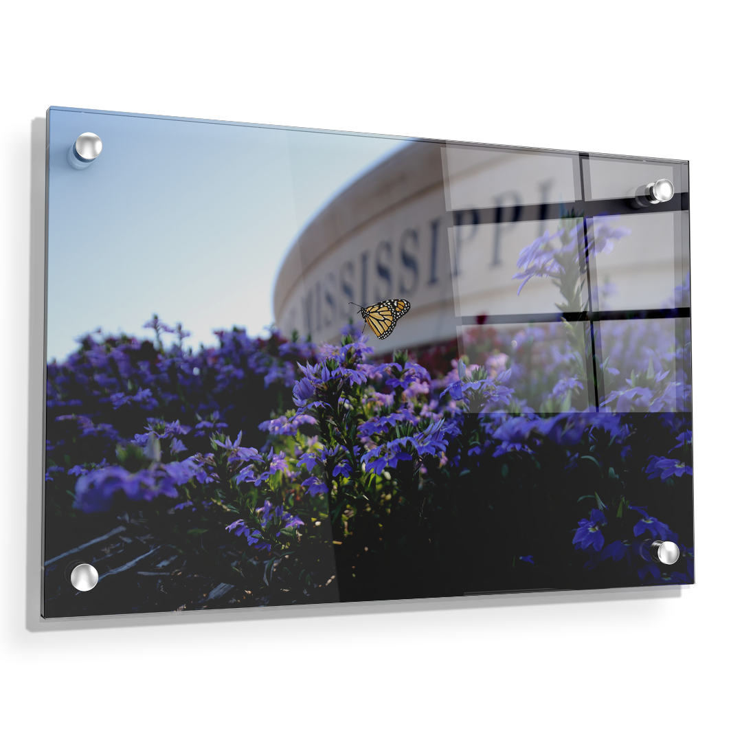 Ole Miss Rebels - Mississippi Butterfly - College Wall Art #Canvas