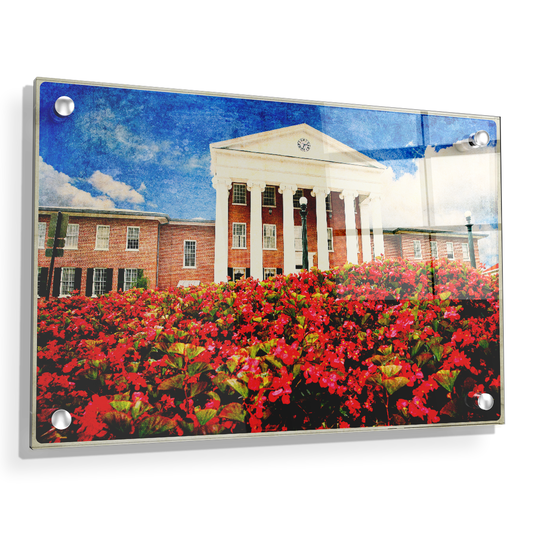Ole Miss Rebels - Lyceum Paint - College Wall Art #Canvas