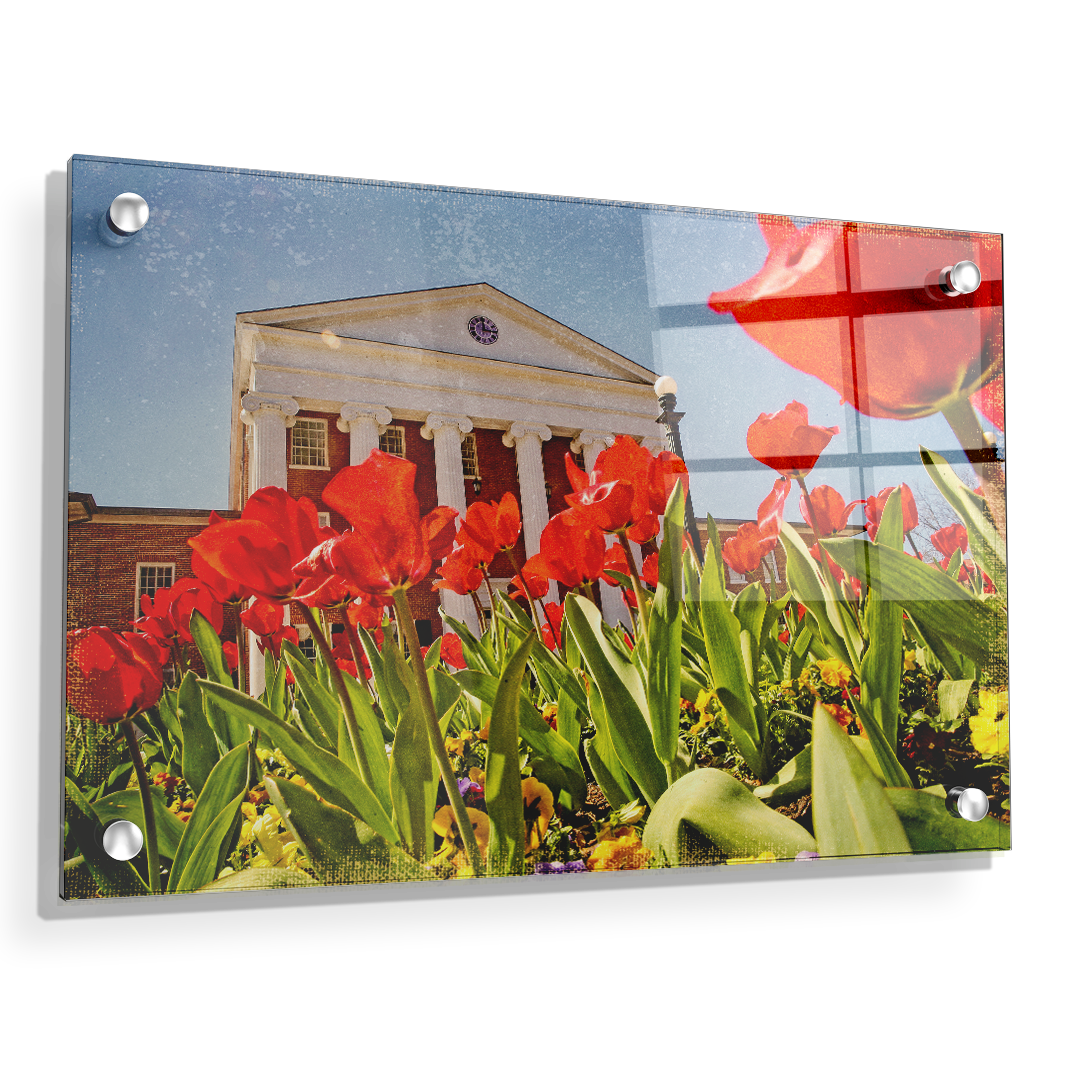 Ole Miss Rebels - Lyceum Grand Tulip Paint - College Wall Art #Canvas