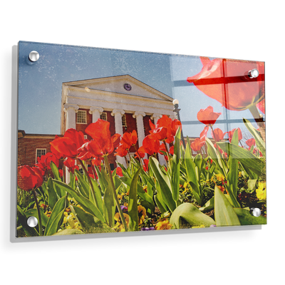Ole Miss Rebels - Lyceum Grand Tulip Paint - College Wall Art #Acrylic