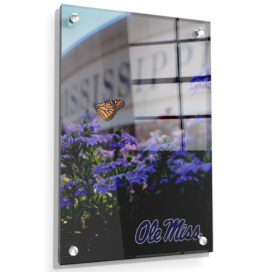 Ole Miss Rebels - Ole Miss Blue - College Wall Art #Canvas