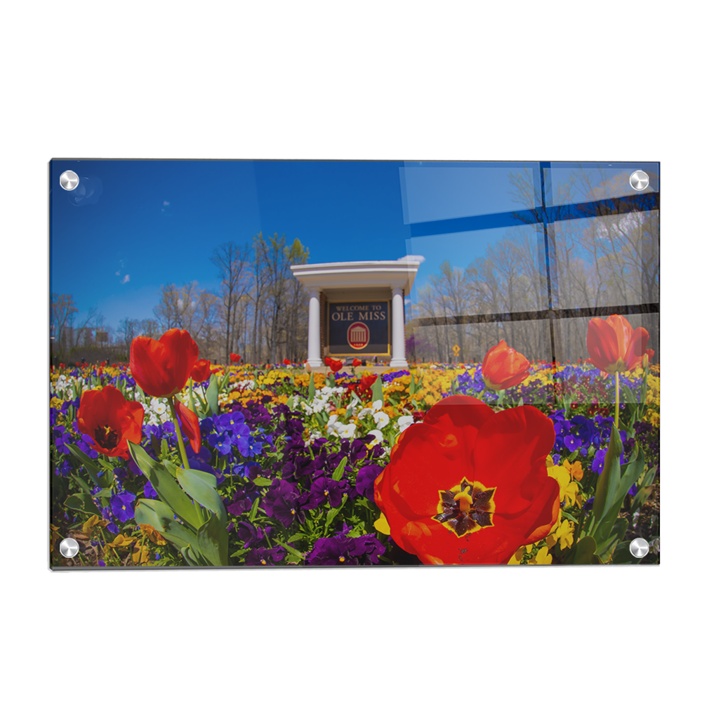 Ole Miss Rebels - 2021 Tulip Circle - College Wall Art #Canvas