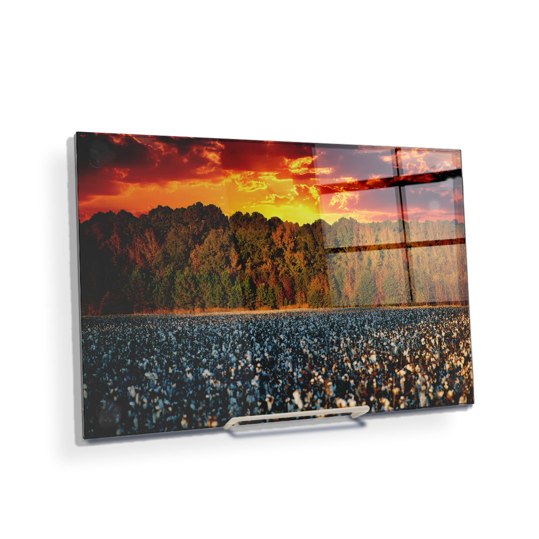 Ole Miss Rebels - Mississippi Cotton - College Wall Art #Canvas
