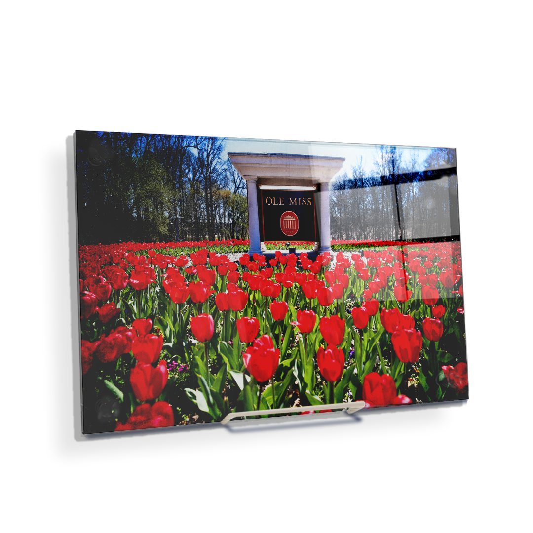 Ole Miss Rebels - Spring Flowers - College Wall Art #Canvas