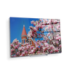 Ole Miss Rebels - Cherry Blossom Ventress - College Wall Art #Acrylic Mini