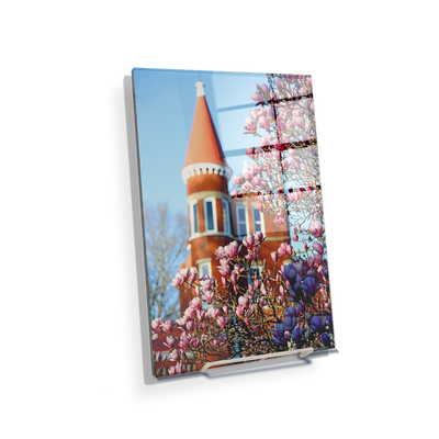 Ole Miss Rebels - Spring at Ole Miss - College Wall Art #Acrylic Mini