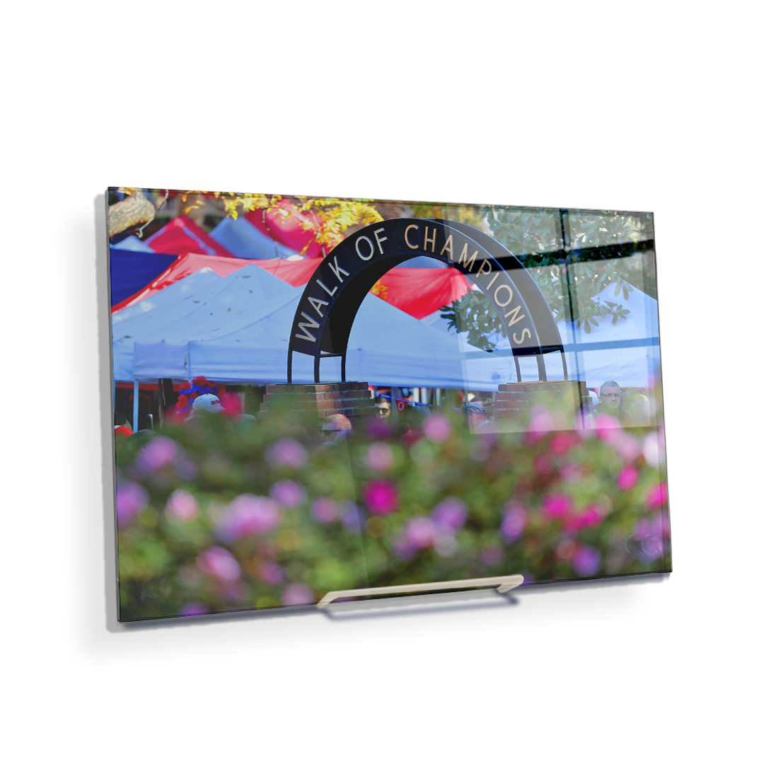 Ole Miss Rebels - Walk of Champions Up Close - College Wall Art #Canvas