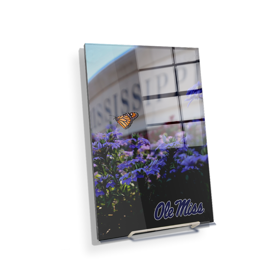 Ole Miss Rebels - Ole Miss Blue - College Wall Art #Canvas