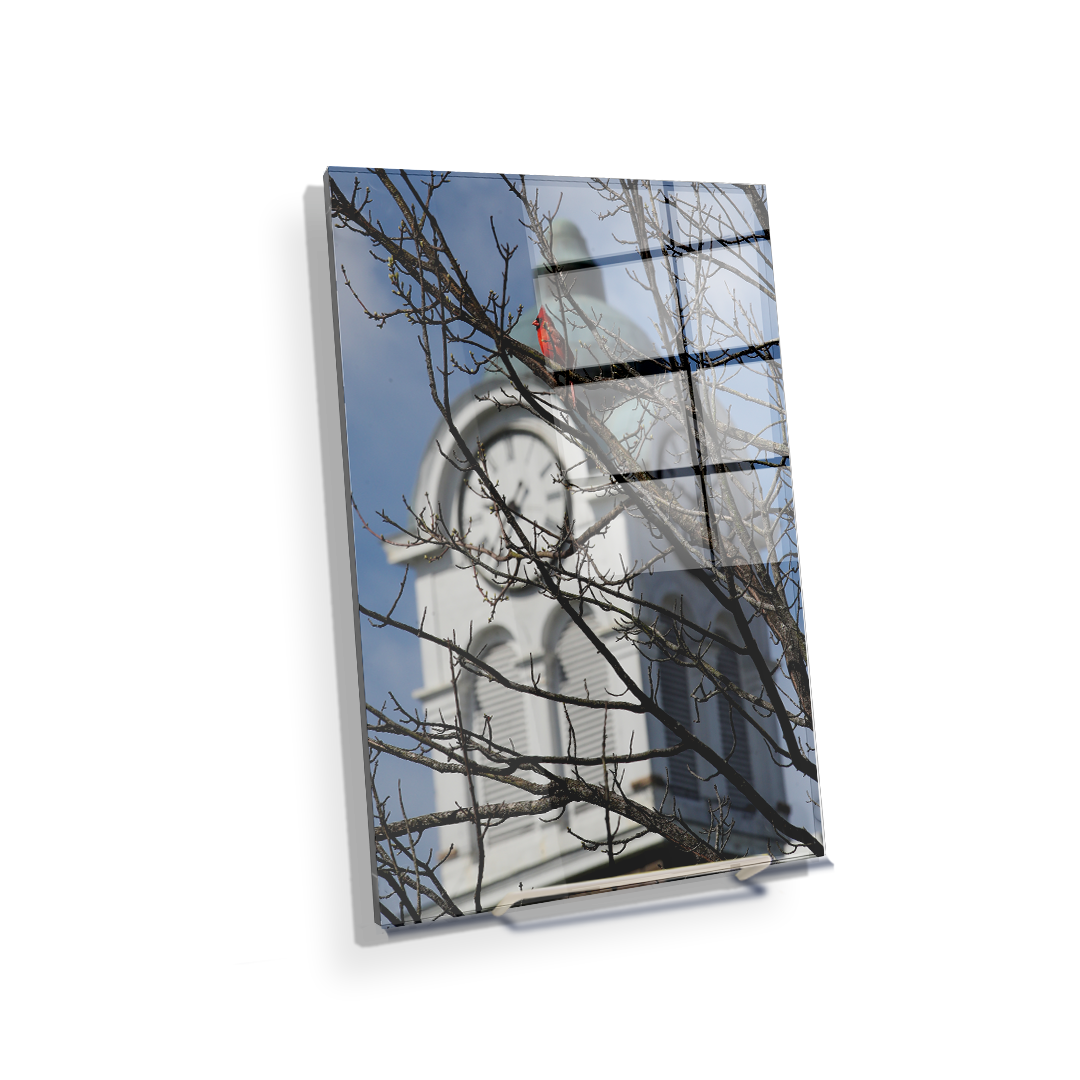 Ole Miss Rebels - Oxford Cardinal - College Wall Art #Canvas