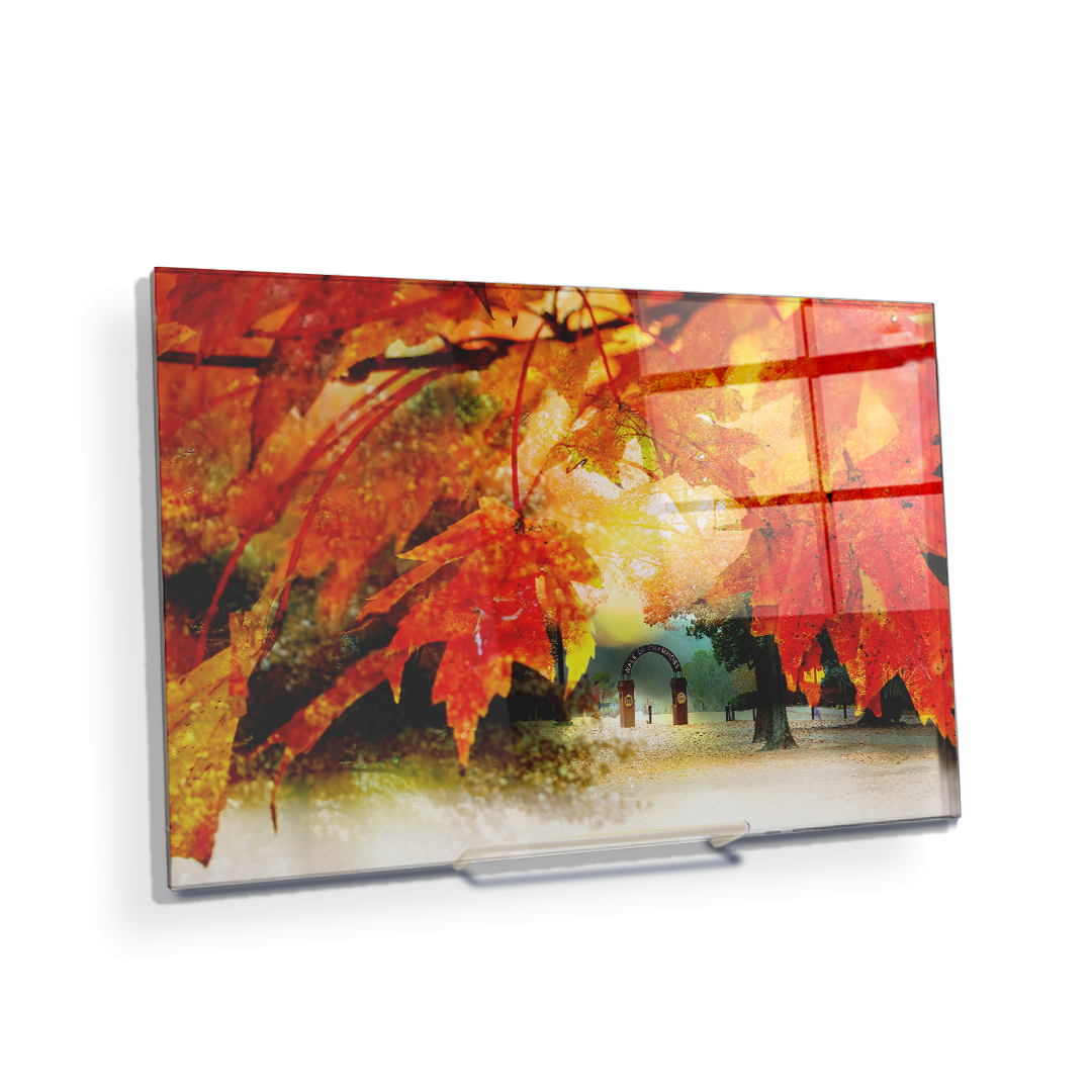 Ole Miss Rebels - Autumn Walk of Champions - College Wall Art #Canvas