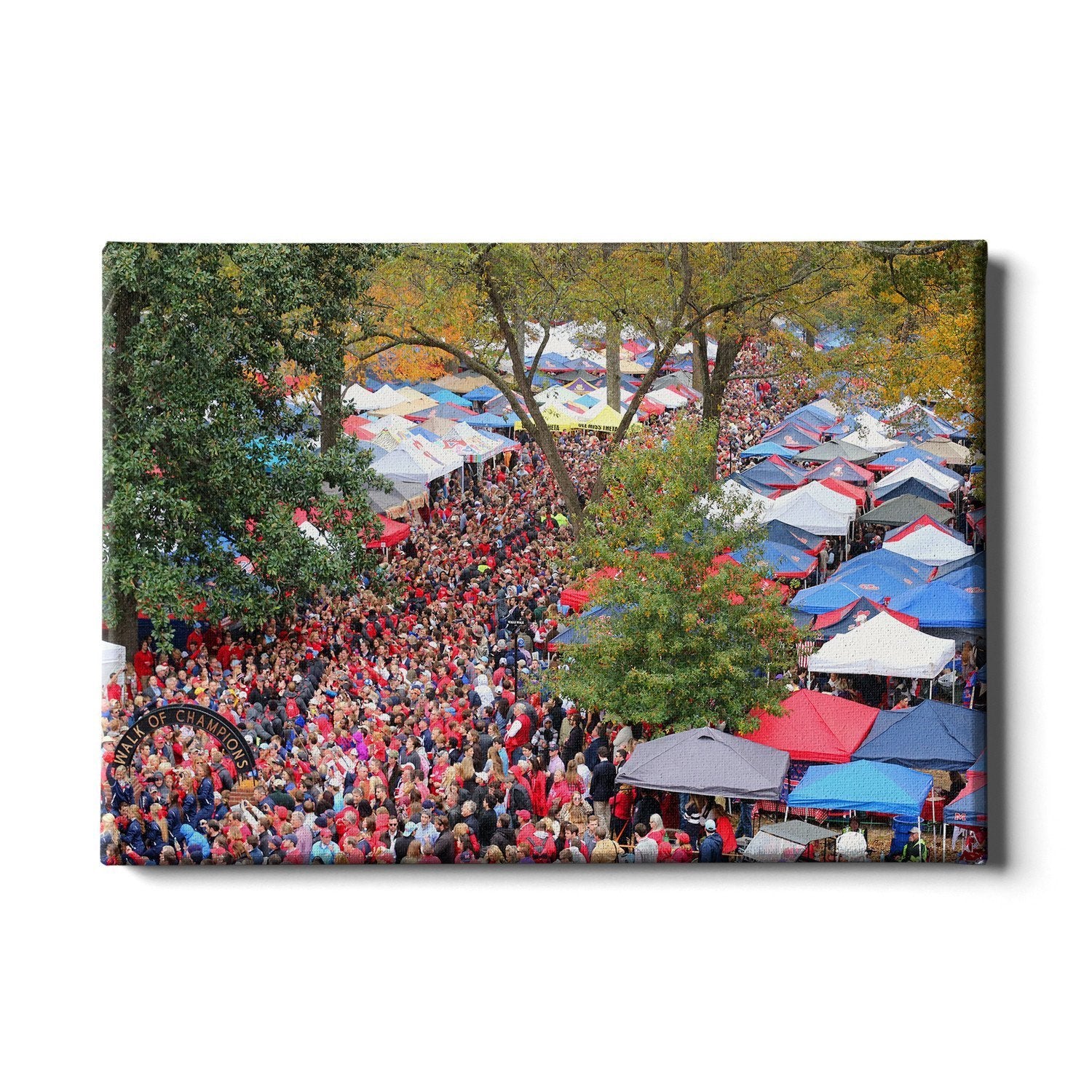 Ole Miss Rebels - Aerial Grove - College Wall Art #Canvas