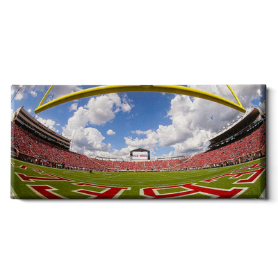 Ole Miss Rebels - Fisheye End zone Panoramic - College Wall Art #Canvas