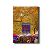 Ole Miss Rebels - Fall Grove - College Wall Art #Canvas