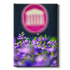 Ole Miss Rebels - Ole Miss Honey Bee -College Wall Art #Canvas