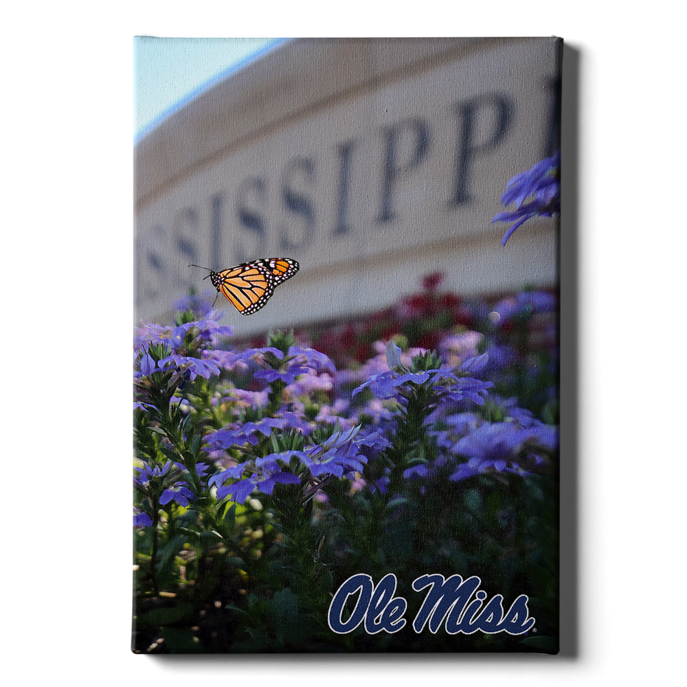 Ole Miss Rebels - Ole Miss Blue - College Wall Art #Canvas
