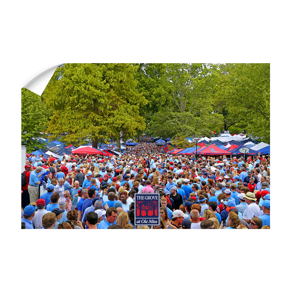 Ole Miss Rebels - Swarm the Grove at Ole Miss - College Wall Art #Canvas