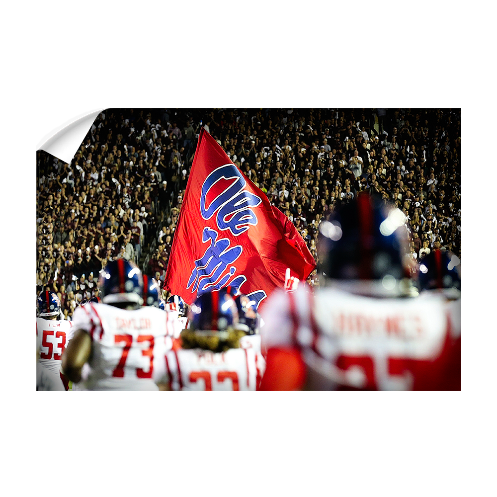 Ole Miss Rebels - Ole Miss Entrance - College Wall Art #Canvas