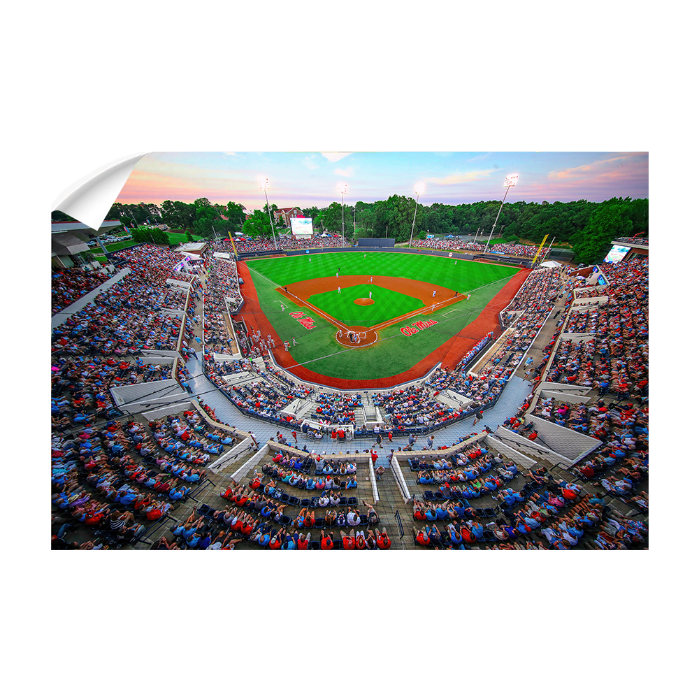 Ole Miss Rebels - NCAA Swayze - College Wall Art #Canvas