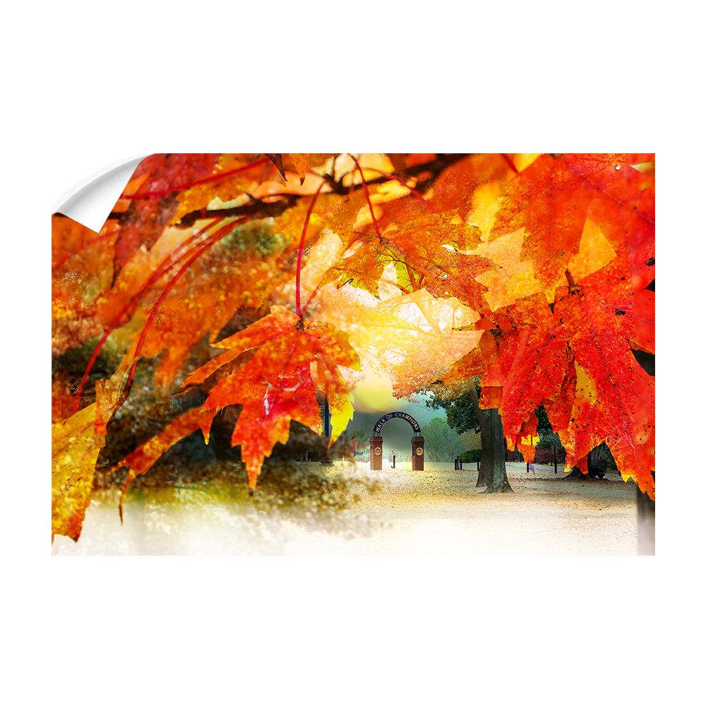 Ole Miss Rebels - Autumn Walk of Champions - College Wall Art #Canvas