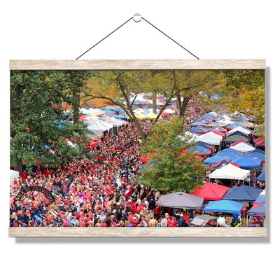 Ole Miss Rebels - Aerial Grove - College Wall Art #Hanging Canvas