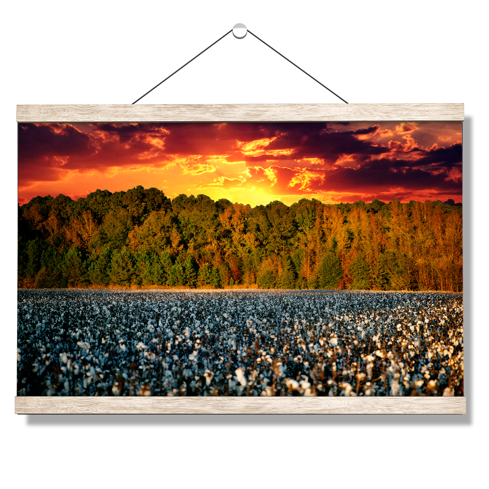 Ole Miss Rebels - Mississippi Cotton - College Wall Art #Canvas