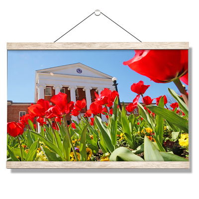 Ole Miss Rebels - Spring Lyceum - College Wall Art #Hanging Canvas