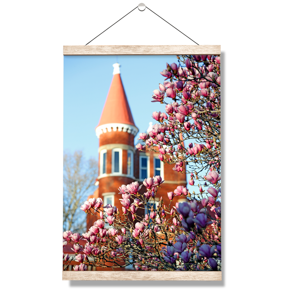 Ole Miss Rebels - Spring at Ole Miss - College Wall Art #Canvas