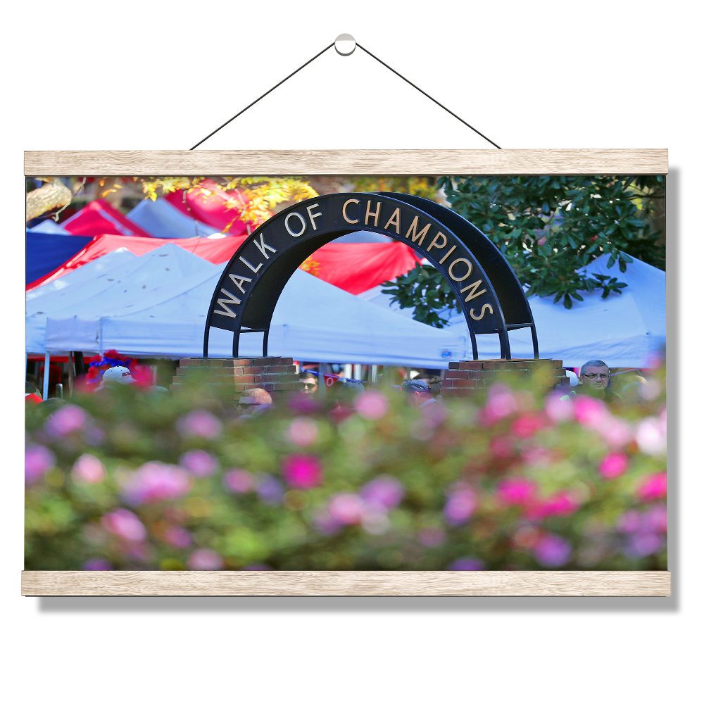 Ole Miss Rebels - Walk of Champions Up Close - College Wall Art #Canvas