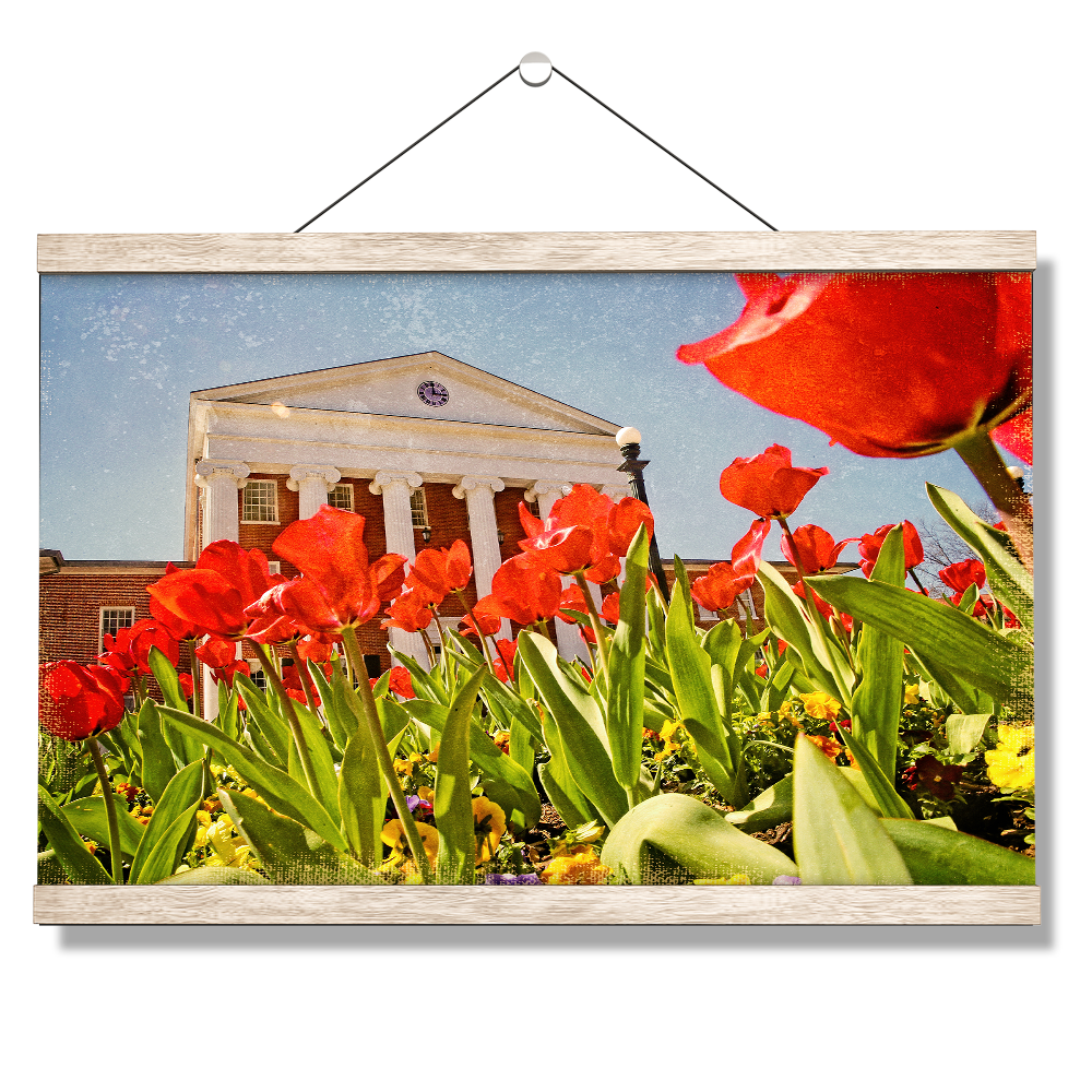 Ole Miss Rebels - Lyceum Grand Tulip Paint - College Wall Art #Canvas