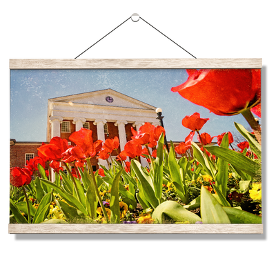 Ole Miss Rebels - Lyceum Grand Tulip Paint - College Wall Art #Hanging Canvas