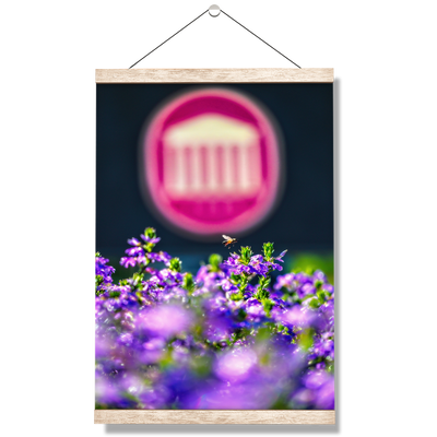 Ole Miss Rebels - Ole Miss Honey Bee -College Wall Art #Hanging Canvas