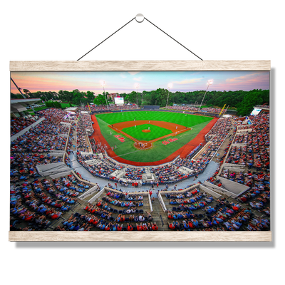 Ole Miss Rebels - NCAA Swayze - College Wall Art #Hanging Canvas