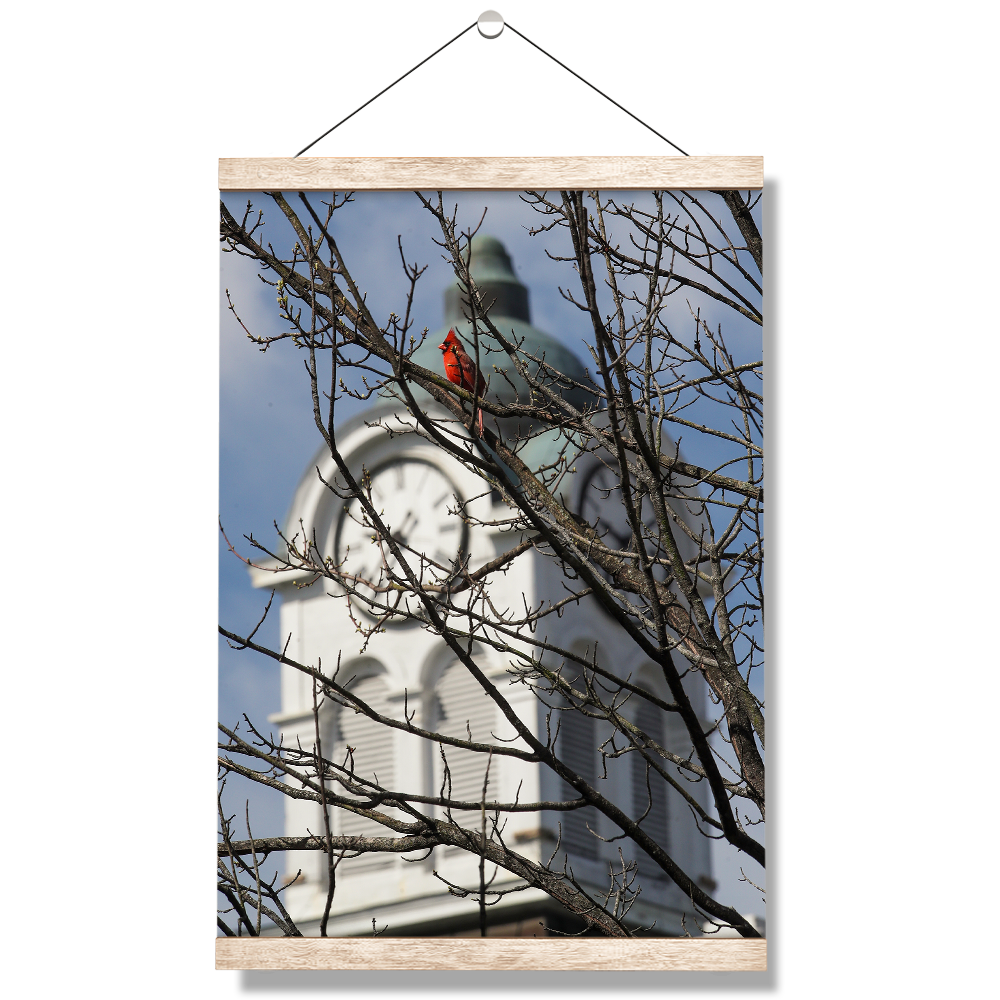 Ole Miss Rebels - Oxford Cardinal - College Wall Art #Canvas