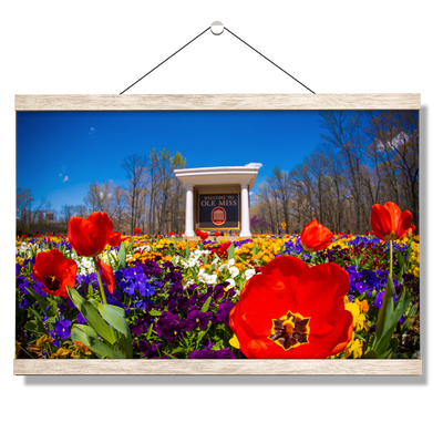 Ole Miss Rebels - 2021 Tulip Circle - College Wall Art #Hanging Canvas