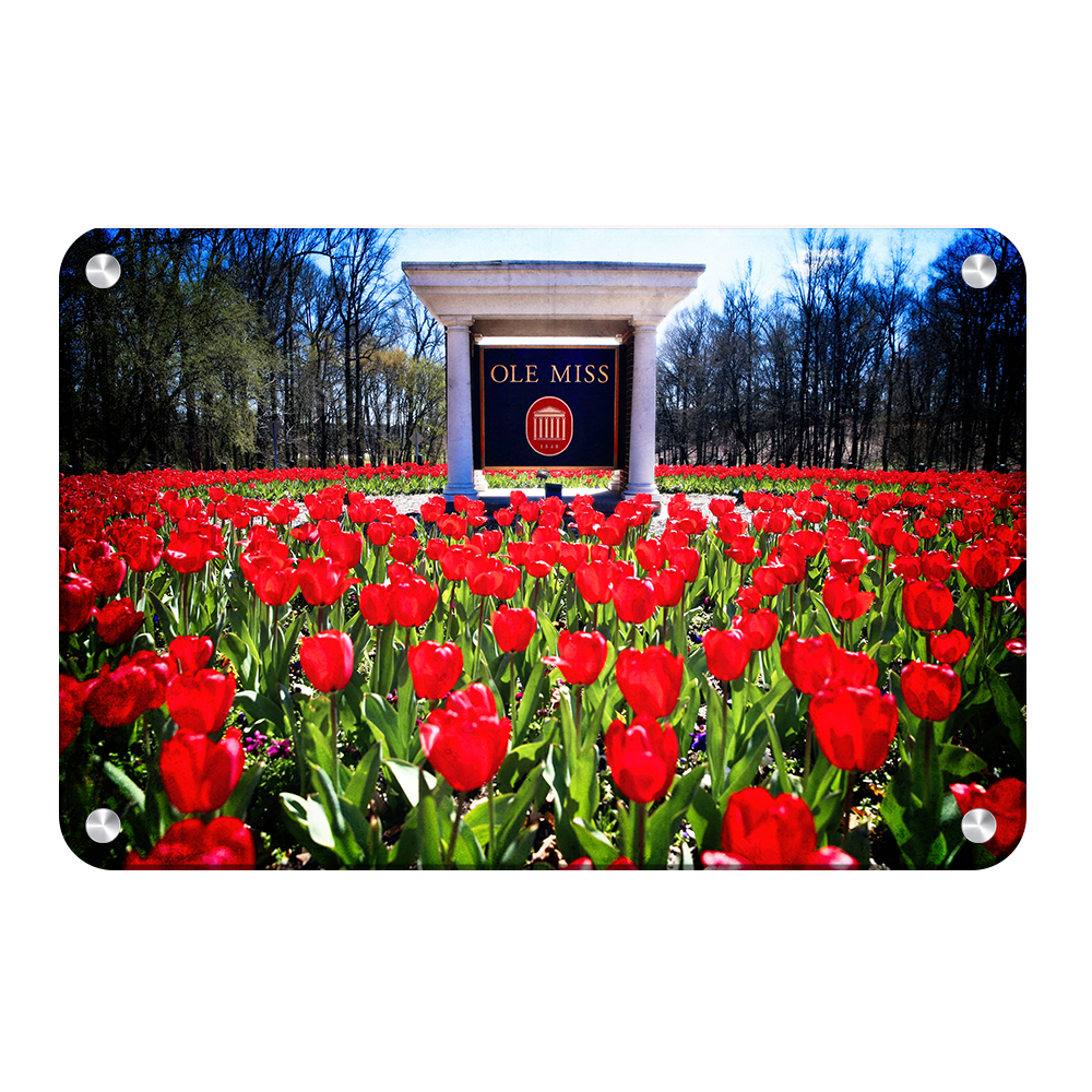 Ole Miss Rebels - Spring Flowers - College Wall Art #Canvas